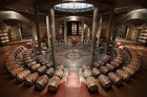 Nhà máy sản xuất rượu vang salentein