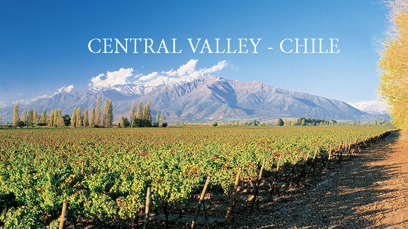 Những tiểu vùng sản xuất rượu Vang của Central Valley Chile