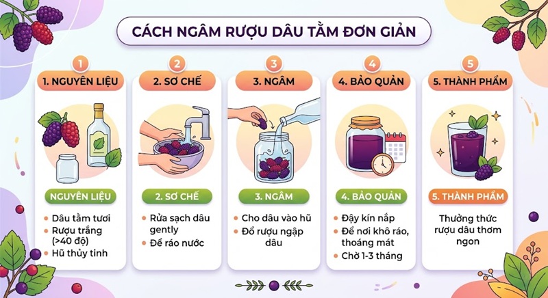 cách ngâm rượu dâu tằm