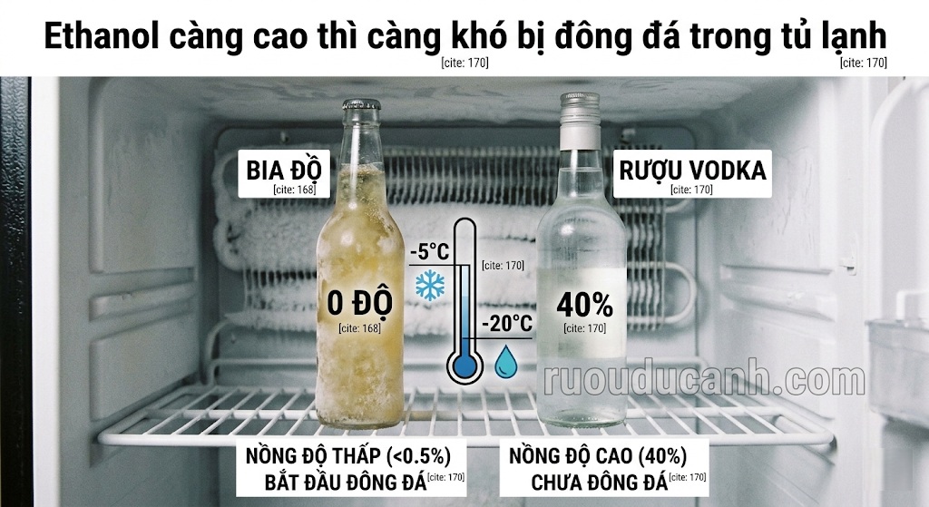 Rượu có nồng độ cồn (Ethanol) càng cao thì càng khó bị đông đá trong tủ lạnh