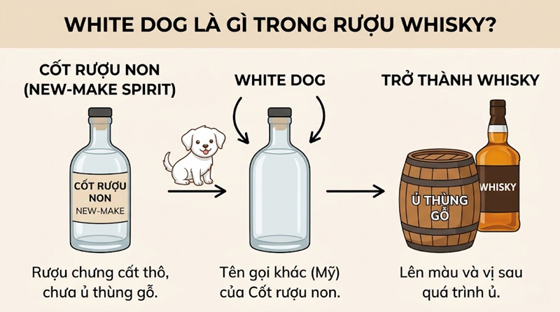 white dog có nghĩa là gì khi nói đến rượu whisky và sự thật đằng sau cốt rượu non
